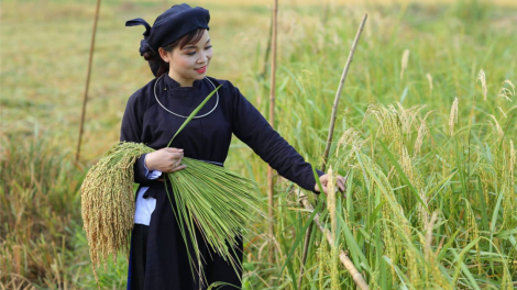 THEN CỔ: BÁCH HOA MỪA TÀNG