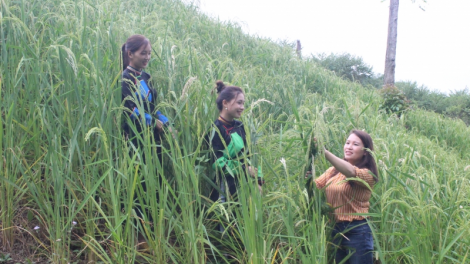 HTX CÚA 11 PỈ NOỌNG NHÌNH CẦN DAO