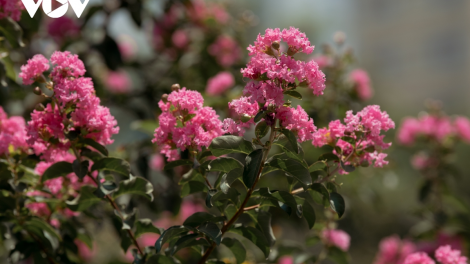 Then: ĐIỆN MÀ BẢN