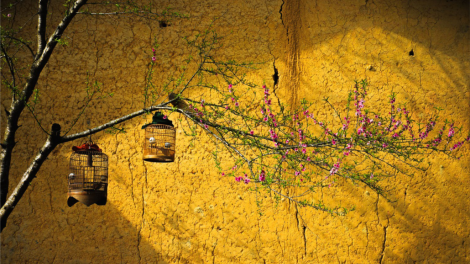 CHƯƠNG TRÌNH KHAY HENG TIỂNG TÀY - NÙNG (Vằn xo 5 bươn 11 pi 2021)