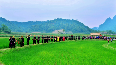 CHƯƠNG TRÌNH KHAY HENG TIỂNG TÀY - NÙNG (Vằn 31 bươn 8 pi 2021)