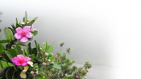 CHIỀU BIÊN GIỚI