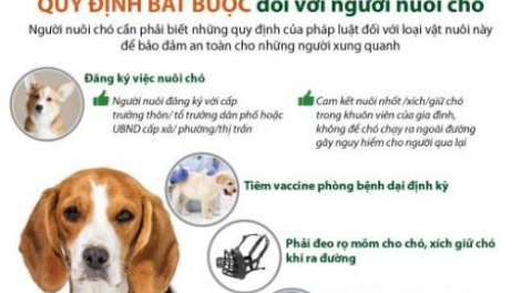 CHẨU TUA CÚA MẺN NẲNG LƯỜN XĂNG HẠY CẠ MA KHỐP THAI CẦN