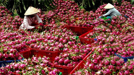 NẮM HẨƯ TẶNG FIỂC CHỈNH PIẾN, THÒ PÂY TẺO, PUÔN KHAI BẠI THÌNH CÚA ĐĂM CHAY