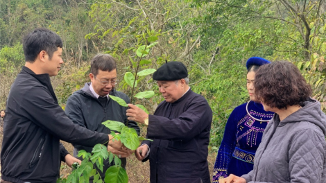 CHẢNG DA XÁU BẠI BÀI DA TÁP TỞI CHĂN ĐÂY