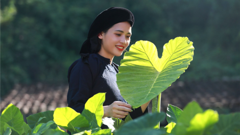 CHƯƠNG TRÌNH KHAY HENG TIỂNG TÀY - NÙNG (Vằn 17/9/2021)