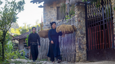 PỈ NOỌNG TỈNH ĐÀI XÁU CHƯƠNG TRÌNH 28-11