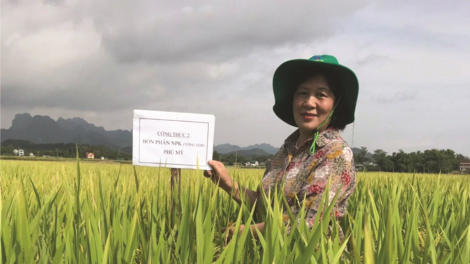 PẢ HOÀNG THỊ BÌNH- CẦN MÌ LAI SLƯ THA VẠ XA THẮP LAI TÀNG MỪA ĐĂM CHAY CHƯỢNG CHẢO HẨƯ PỈ NOỌNG