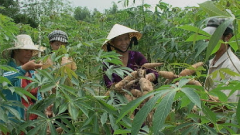 CHUNG MỘT CÂU HÒ ( Hò Ba lý- Nam Trung Bộ)