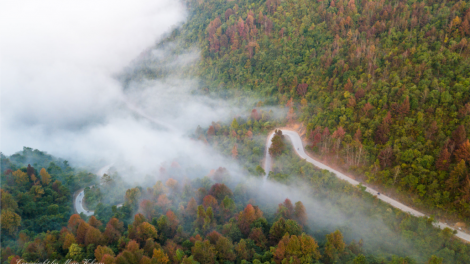 PỈ NOỌNG TỈNH ĐÀI XÁU CHƯƠNG TRÌNH Chủ nhật-vằn xo 2 bươn 1 pi 2022