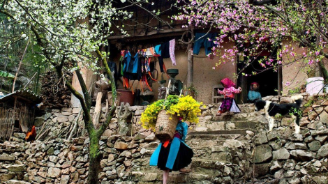 CHƯƠNG TRÌNH KHAY HENG TIỂNG TÀY NÙNG (Thứ Sáu- Vằn 11 buươn 2 pi 2022)