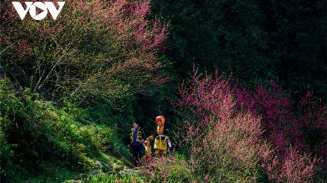 CHƯƠNG TRÌNH KHAY HENG TIỂNG TÀY NÙNG (Chủ Nhật – Vằn 27/2/2022)