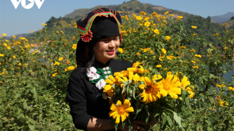 CHƯƠNG TRÌNH KHAY HENG TIỂNG TÀY-NÙNG (Thứ Ba- Vằn 31/5/2022)