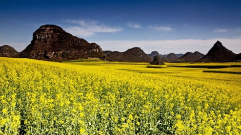 CHƯƠNG TRÌNH KHAY HENG TIỂNG TÀY-NÙNG (Thứ Bảy- Vằn 18/6/2022)