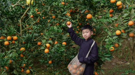 CHƯƠNG TRÌNH KHAY HENG TIỂNG TÀY, NÙNG (Chủ Nhật vằn xo 9 bươn 10 pi 2022)