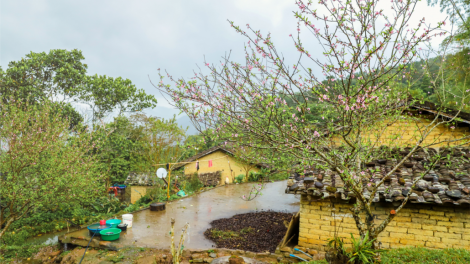 CHƯƠNG TRÌNH KHAY HENG TIỂNG TÀY - NÙNG- Thứ 7, Vằn xo 5 bươn 2 pi 2022 (XO 5 BƯƠN CHIÊNG)