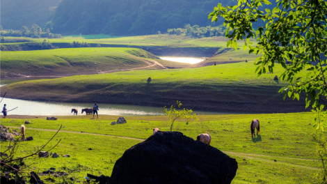 CHƯƠNG TRÌNH KHAY HENG TIỂNG TÀY - NÙNG (Thứ Sáu- Vằn xo 8 bươn 4 pi 2022)