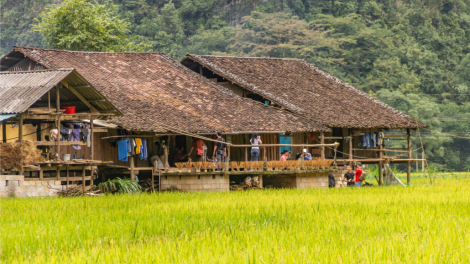 BẠI FẤN PANG CHỎI MẤƯ CHANG ĐĂM CHAY, CHƯỢNG CHẢO