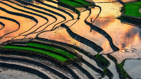 CHƯƠNG TRÌNH KHAY HENG TIỂNG TÀY - NÙNG (Thứ Hai- Vằn 13/6/2022)