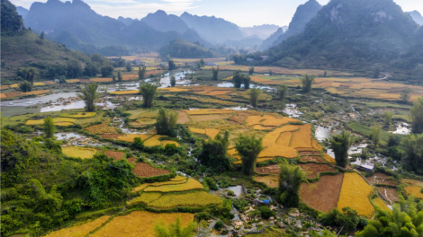 CHƯƠNG TRÌNH KHAY HENG TIỂNG TÀY - NÙNG (Thứ Năm- Vằn 13 bươn 10 pi 2022)