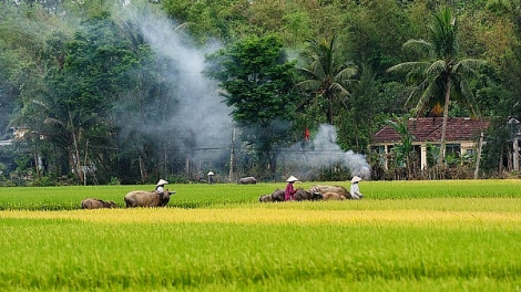 NGỌC ĐÀO TẲNG CÓ TỔNG NÀ BẤU MÌ PƯỚC TO DA KHẢ NON, KHẢ NHẢ