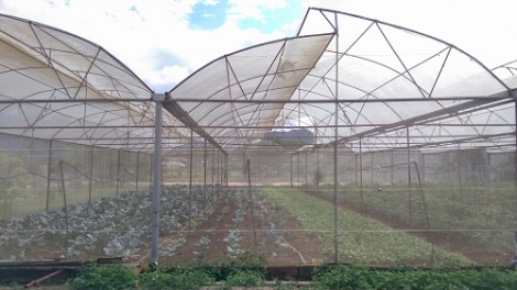 ꪹꪊꪉ ꪊꪉꪲ ꪠꪱꪒ ꪵꪖꪉ ꪁꪫꪱꪣ ꪼꪕ ꪖꪳ 3  ꪣꪳ  18 ꪁꪣꪾ ꪹꪚꪙ 7 ꪜꪲ 2017