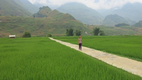 ꪉꪮꪙ ꪶꪕ ꪖꪳ 4 ꪣꪳ  14 ꪁꪾ ꪹꪚꪙ 11 ꪜꪲ 2018 - ꪥꪉꪰ ꪹꪢꪸꪒ ꪥꪱꪙ ꪹꪋꪷ ꪹꪊꪸꪚ ꪭꪱꪥ ꪼꪎ ꪘꪱꪫ , ꪵꪀ ꪼꪄ ꪹꪏꪉ ꪏꪳ ?