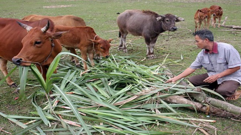 ꪹꪊꪉ ꪊꪉꪲ ꪠꪱꪒ ꪵꪖꪉ ꪁꪫꪱꪣ ꪼꪕ ꪖꪳ 5 ꪣꪳ 22 ꪁꪾ  ꪹꪚꪙ 3 ꪜꪲ 2018