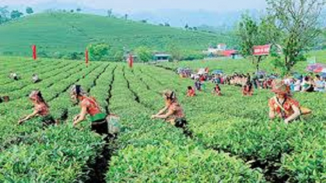 ꪁꪫꪱꪣ ꪄꪱꪫ ꪶꪠꪉ ꪼꪔ ꪚꪀꪰ ꪖ ꪳ5 ꪣꪳ 19 ꪁꪾ ꪹꪚꪙ 4 ꪜꪲ 2018