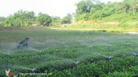 ꪁꪫꪱꪣ ꪄꪱꪫ ꪶꪠꪉ ꪼꪔ ꪚꪀꪰ ꪖ ꪳ6 ꪣꪳ 11 ꪁꪾ ꪹꪚꪙ 5 ꪜꪲ 2018