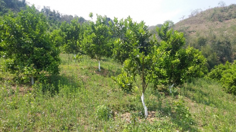 ꪁꪫꪱꪣ ꪄꪱꪫ ꪶꪠꪉ ꪼꪔ ꪚꪀꪰ ꪖ ꪳ5 ꪣꪳ 26 ꪁꪾ ꪹꪚꪙ 4 ꪜꪲ 2018