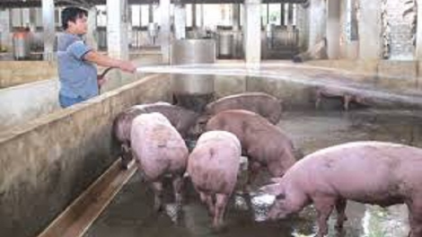 ꪉꪮꪙ ꪶꪕ ꪖꪳ 3 ꪣꪳ 17 ꪁꪾ  ꪹꪚꪙ 7 ꪜꪲ 2018 – ꪋꪳ ꪡꪮꪉ ꪥꪀꪲ ꫃ꪛꪉ ꪻꪬ ꪶꪔ ꪵꪔꪉ ꪩꪉꪸ ꪀꪺꪉ ꪣꪺ ꪶꪠꪙ ꪙꪮꪉ