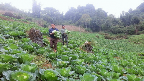 ꪹꪊꪉ ꪊꪉꪲ ꪠꪱꪒ ꪵꪖꪉ ꪁꪫꪱꪣ ꪼꪕ ꪖ 2 ꪣꪳ  2 ꪁꪾ  ꪹꪚꪙ 12 ꪜꪲ 2018