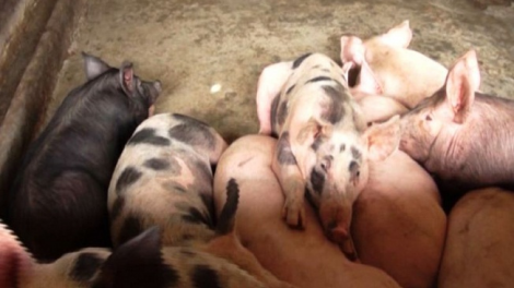 ꪉꪮꪙ ꪁꪫꪱꪣ ꪄꪱꪫ ꪖꪳ 6 ꪣꪳ 9 ꪁ ꪾꪹꪚꪙ 11 ꪜꪲ 2018