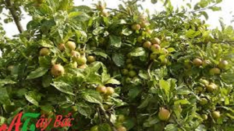 ꪉꪮꪙ ꪶꪕ ꪖꪳ 5 ꪣꪳ 11 ꪁꪾ ꪹꪚꪙ 10 ꪜꪲ 2018 - ꪊꪴ ꪕꪀꪲ ꪶꪭꪥ ꪠꪴ ꪑꪉꪲ ꪎꪱ ꪊꪱꪉ ꪝꪱ ꪕꪺꪙ ꪮꪺꪙ ꪀꪮꪙ