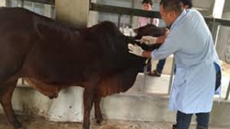 ꪉꪮꪙ ꪶꪕ ꪖꪳ 6 ꪣꪳ 9 ꪁꪾ  ꪹꪚꪙ 11 ꪜꪲ 2018 – ꪝꪉꪳ ꪕꪒꪰ ꪜꪙꪴ ꪢꪱ ꪕꪱꪉ ꪩꪺꪒ ꪕꪉꪸ ꪮꪱꪙ ꪁꪣꪾ ꪀꪙꪲ