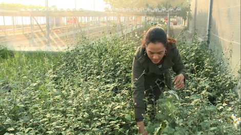 ꪹꪊꪉ ꪊꪉꪲ ꪠꪱꪒ ꪵꪖꪉ ꪁꪫꪱꪣ ꪼꪕ ꪖ 2 ꪣꪳ  25 ꪁꪾ  ꪹꪚꪙ 3 ꪜꪲ 2019