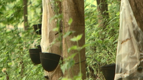 ꪁꪫꪱꪣ ꪄꪱꪫ ꪶꪠꪉ ꪼꪔ ꪚꪀꪰ ꪖꪳ 5 ꪣꪳ 16 ꪁ ꪾꪹꪚꪙ 5 ꪜꪲ 2019