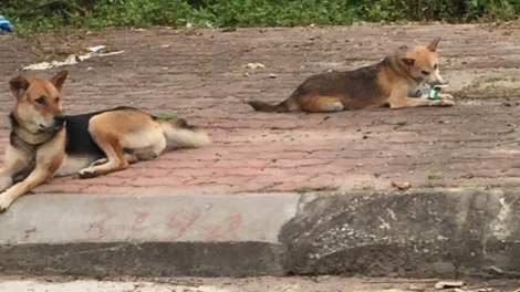 ꪉꪮꪙ ꪶꪕ ꪖꪳ 4 ꪣꪳ 19 ꪁꪾ ꪹꪚꪙ 6 ꪜꪲ 2019 – ꪔꪣꪸ ꪡꪮꪉ ꪹꪛꪸꪉ ꪹꪜꪸꪙ ꪚꪱ