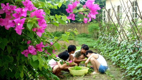 ꪁꪫꪱꪣ ꪄꪱꪫ ꪶꪠꪉ ꪼꪔ ꪚꪀꪰ ꪖꪳ 4 ꪣꪳ 07 ꪁꪾ ꪹꪚꪙ 8 ꪜꪲ 2019