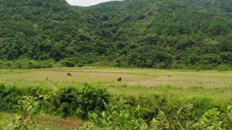 ꪹꪊꪉ ꪊꪉꪲ ꪠꪱꪒ ꪵꪖꪉ ꪁꪫꪱꪣ ꪼꪕ  ꪖꪳ 5 ꪣꪳ  26 ꪁ ꪾ ꪹꪚꪙ 11 ꪜꪲ 2020