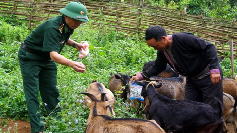 Ngon tô thứ 5 mự 10 căm bườn 12 pì 2020 - Mẳn tực chàư dân phổng đen mương Huổi Luông