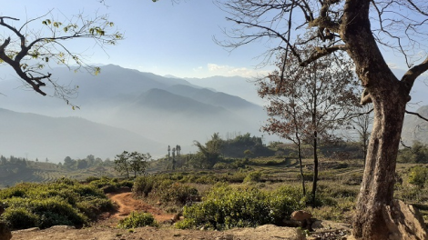 ꪉꪮꪙ ꪶꪕ ꪖꪳ 3 ꪣꪳ  3 ꪁꪾ  ꪹꪚꪙ 3  ꪜꪲ 2020 -  ꪩꪺꪉ ꪩꪉꪸ ꪵꪚ