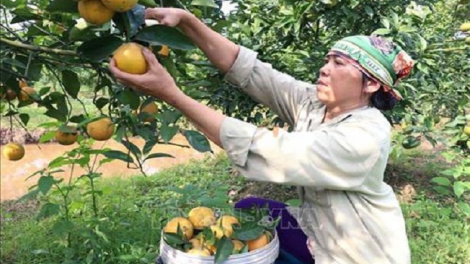 ꪁꪫꪱꪣ ꪄꪱꪫ ꪶꪠꪉ ꪼꪔ ꪚꪀꪰ ꪖꪳ 4 ꪣꪳ 15 ꪁꪾ  ꪹꪚꪙ 7 ꪜꪲ 2020