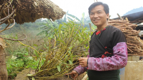 Ngon tô thứ 7 mự 12 căm bườn 12 pì 2020 - Tráng A Chu cắp luông dệt hăng té vịa dệt dù lịch