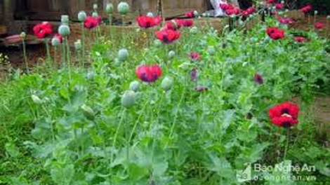 Chương trình phát thanh quam Tay thứ 6 mự 25 căm bườn 12 pì 2020