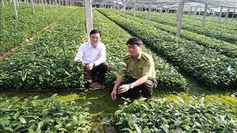 ꪹꪊꪉ ꪊꪉꪲ ꪠꪱꪒ ꪵꪖꪉ ꪁꪫꪱꪣ ꪼꪕ  ꪖꪳ 2  ꪣꪳ  30 ꪁ ꪾ ꪹꪚꪙ 11 ꪜꪲ 2020