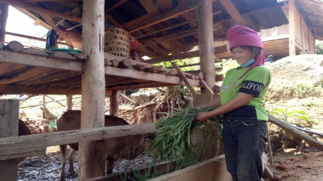 Ngon tô thứ 5 mự 27 căm bườn 5 pì 2021 – Bí thư Đảng uỷ xã cánh pưng chương trình “ báu mết sắc măn ngơn” pưa dân