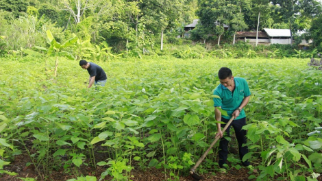 Ngon tô thứ 4 mự 9 căm bườn 6 pì 2021- Quam tô piến thái puông kin luông dú té co pán