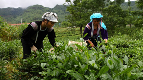 Ngon tô thứ 3 mự 2 căm bườn 11 pì 2021- Ngon tô pảy chự cánh púk ten pá